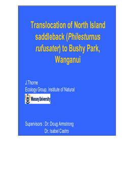 Translocation of North Island Saddleback (Philesturnus Rufusater)