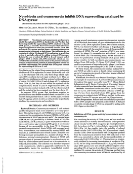 Novobiocin and Coumermycin Inhibit DNA Supercoiling Catalyzed by DNA Gyrase (Escherichia Coli/Colicin El DNA Replication/Phage a DNA) MARTIN GELLERT, MARY H