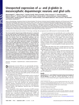 And -Globin in Mesencephalic Dopaminergic Neurons and Glial Cells