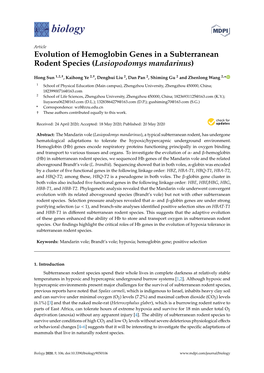 Evolution of Hemoglobin Genes in a Subterranean Rodent Species (Lasiopodomys Mandarinus)