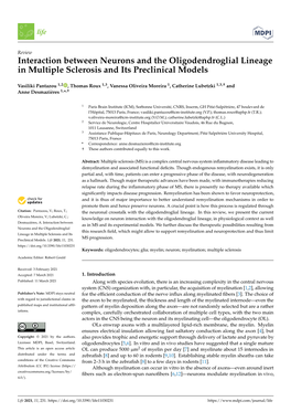 Interaction Between Neurons and the Oligodendroglial Lineage in Multiple Sclerosis and Its Preclinical Models