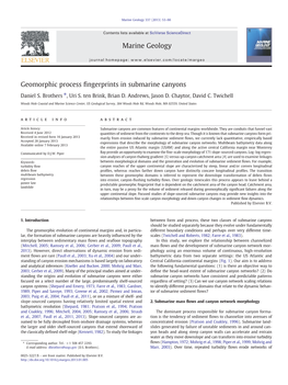 Geomorphic Process Fingerprints in Submarine Canyons