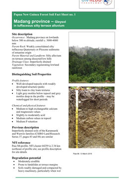 Madang Province – Gleysol in Tuffaceous Silty Terrace Alluvium