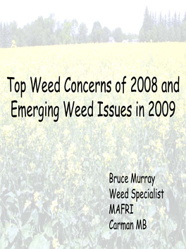 Top Weed Concerns of 2008 and Emerging Weed Issues in 2009