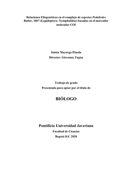 Relaciones Filogenéticas En El Complejo De Especies Pedaliodes Butler, 1867 (Lepidoptera: Nymphalidae) Basadas En El Marcador Molecular COI