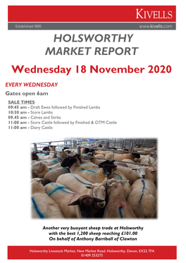 Holsworthy Market Report