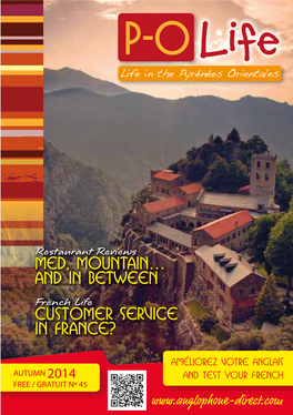 Med, Mountain… and in Between Customer Service in France?