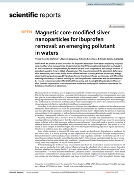 Magnetic Core-Modified Silver Nanoparticles for Ibuprofen Removal
