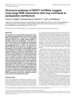 Structural Analyses of NEAT1 Lncrnas Suggest Long-Range RNA Interactions That May Contribute to Paraspeckle Architecture Yizhu Lin1, Brigitte F