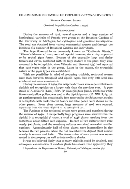 CHROMOSOME BEHAVIOR in TRIPLOID <I>PETUNIA</I