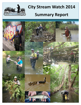 City Stream Watch Summary Report
