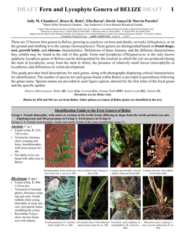 DRAFT Fern and Lycophyte Genera of BELIZE DRAFT 1