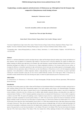 Ecophysiology, Secondary Pigments and Ultrastructure of Chlainomonas Sp