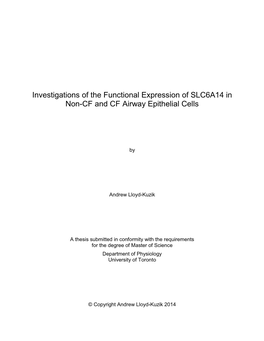 Investigations of the Functional Expression of SLC6A14 in Non-CF and CF Airway Epithelial Cells