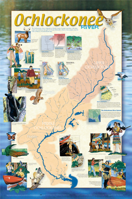 The Ochlockonee River System