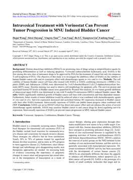 Intravesical Treatment with Vorinostat Can Prevent Tumor Progression in MNU Induced Bladder Cancer