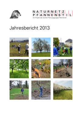 Jahresbericht 2013