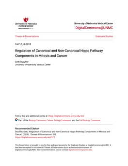 Regulation of Canonical and Non-Canonical Hippo Pathway Components in Mitosis and Cancer
