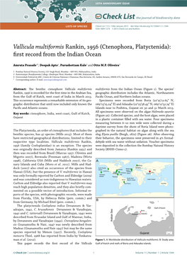 Vallicula Multiformis Rankin, 1956 (Ctenophora, Platyctenida): First Record from the Indian Ocean