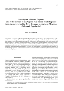 Description of Danio Flagrans, and Redescription of D. Choprae, Two Closely Related Species from the Ayeyarwaddy River Drainage