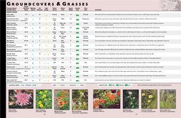 Groundcovers & Grasses [PDF]