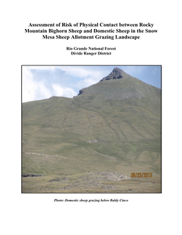 Assessment of Risk of Physical Contact Between Rocky Mountain Bighorn Sheep and Domestic Sheep in the Snow Mesa Sheep Allotment Grazing Landscape