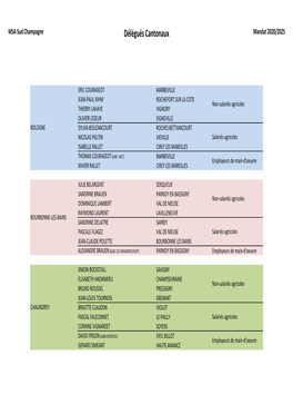 Délégués Cantonaux Mandat 2020/2025