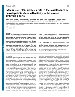 Integrin Aiib (CD41) Plays a Role in the Maintenance of Hematopoietic Stem Cell Activity in the Mouse Embryonic Aorta