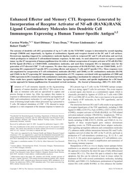 Human Tumor-Specific Antigen Dendritic Cell Immunogens