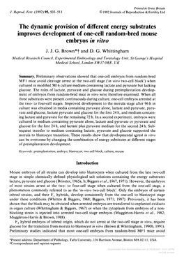 Improves Development of One-Cell Random-Bred Mouse Embryos in Vitro J