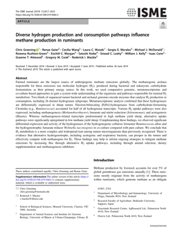 Diverse Hydrogen Production and Consumption Pathways Influence