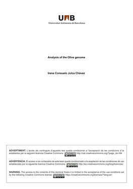 Analysis of the Olive Genome Irene Consuelo Julca Chávez