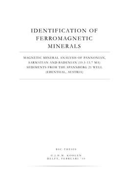 Identification of Ferromagnetic Minerals