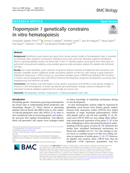 Tropomyosin 1 Genetically Constrains in Vitro Hematopoiesis