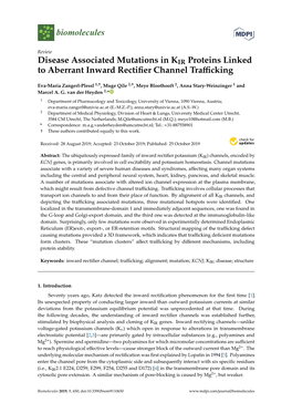 Disease Associated Mutations in KIR Proteins Linked to Aberrant Inward Rectiﬁer Channel Traﬃcking