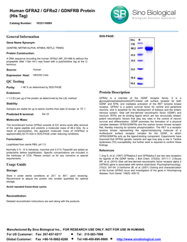 Human GFRA2 / Gfrα2 / GDNFRB Protein (His Tag)