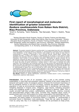 Purnama A. A., Mubarak J., Daruwati I., Roslim D. I., Elvyra R., 2019 First