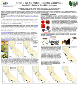 Review of Pest Flies (Diptera: Tephritidae, Drosophilidae) Detected in California from 2004 to Present