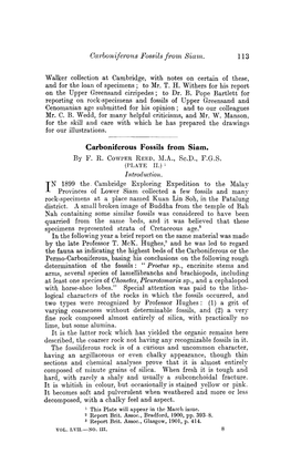 Carboniferous Fossils from Siam