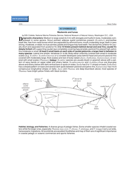 Scombridae.Pdf