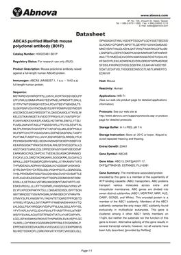 ABCA5 Purified Maxpab Mouse Polyclonal Antibody (B01P)