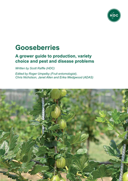 Gooseberries a Grower Guide to Production, Variety Choice and Pest and Disease Problems