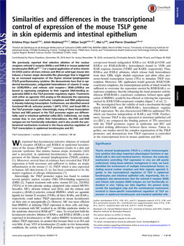 Similarities and Differences in the Transcriptional Control of Expression