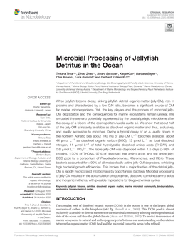 Microbial Processing of Jellyfish Detritus in the Ocean