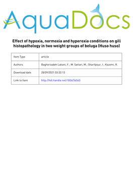 Effect of Hypoxia, Normoxia and Hyperoxia Conditions on Gill Histopathology in Two Weight Groups of Beluga (Huso Huso)