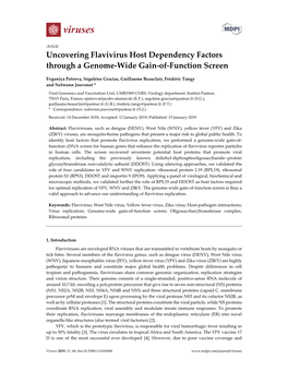 Uncovering Flavivirus Host Dependency Factors Through a Genome-Wide Gain-Of-Function Screen