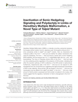 Inactivation of Sonic Hedgehog Signaling and Polydactyly in Limbs of Hereditary Multiple Malformation, a Novel Type of Talpid Mutant