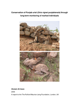 Conservation of Punjab Urial ( Ovis Vignei Punjabiensis ) Through Long-Term Monitoring of Marked Individuals