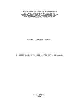 Universidade Estadual De Ponta Grossa Setor De Ciências Exatas E Naturais Programa De Pós-Graduação Em Geografia Mestrado Em Gestão Do Território