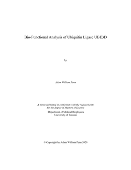 Bio-Functional Analysis of Ubiquitin Ligase UBE3D